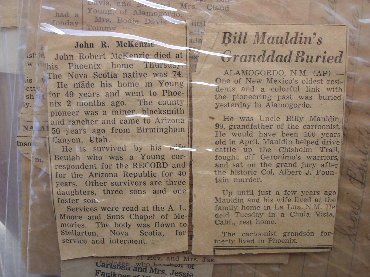 Newspaper clippings documenting Young, Arizona pioneers