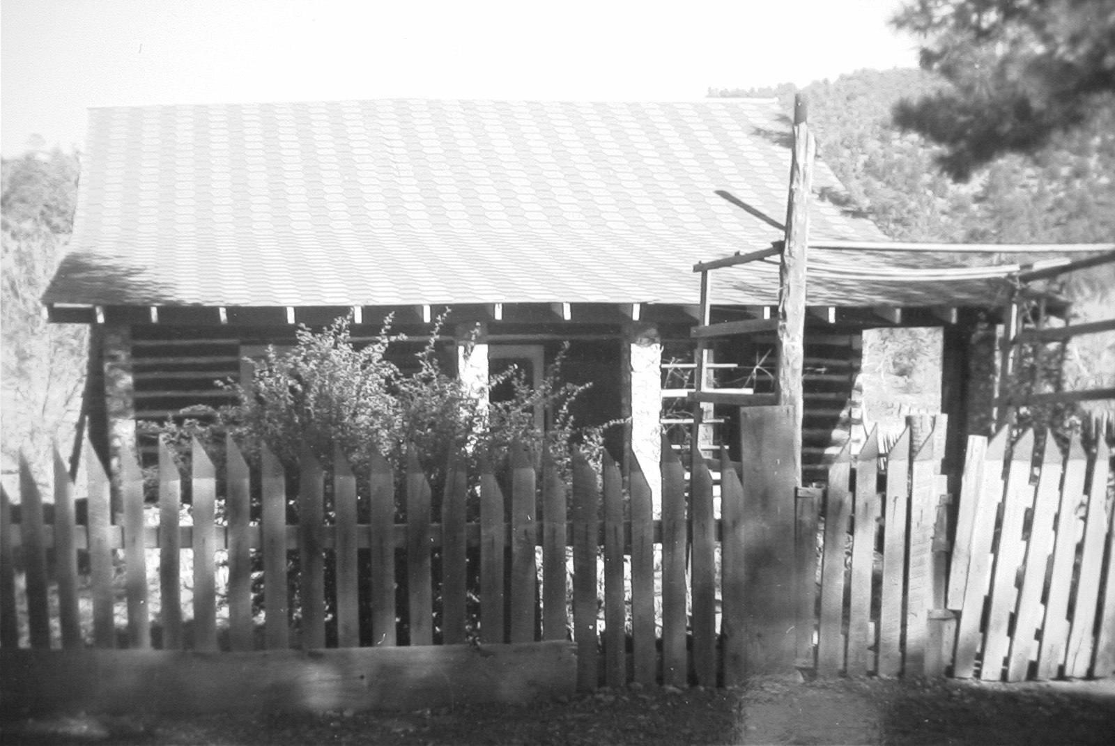 Historic front view of the Waldrip family log homestead cabin in Pleasant Valley